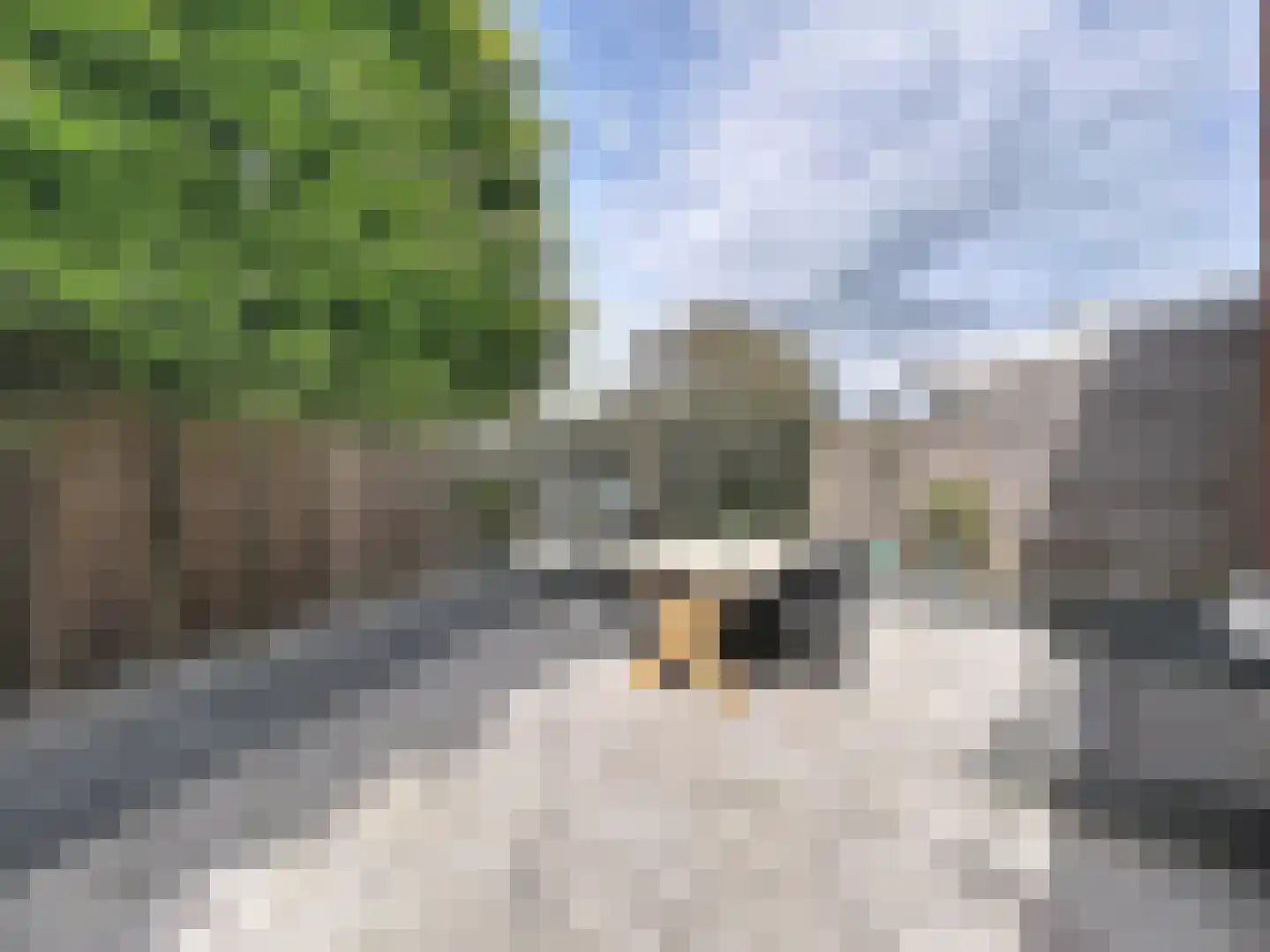 Burg. Maarleveldstraat 20 Biervliet thumbnail 21