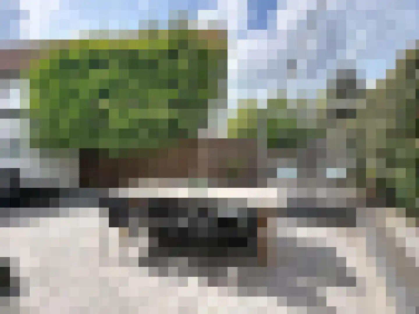 Burg. Maarleveldstraat 20 Biervliet thumbnail 22