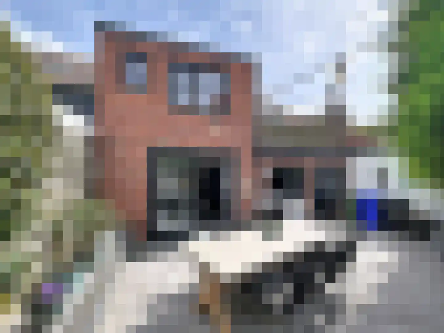 Burg. Maarleveldstraat 20 Biervliet thumbnail 24