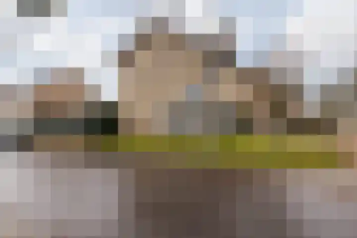 Burg Maenenstraat 7 Elsloo thumbnail 10