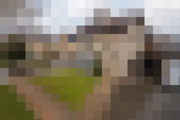 Burg Maenenstraat 7 Elsloo thumbnail 12