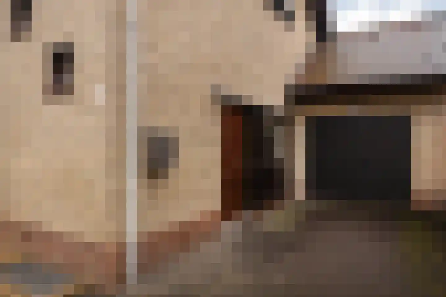 Burg Maenenstraat 7 Elsloo thumbnail 14