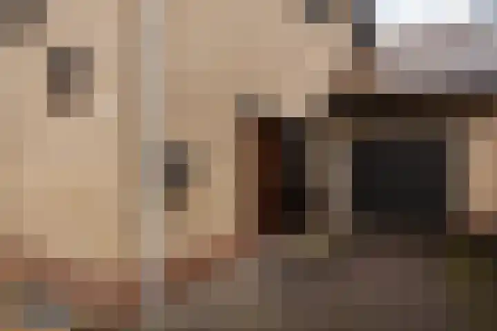 Burg Maenenstraat 7 Elsloo thumbnail 14