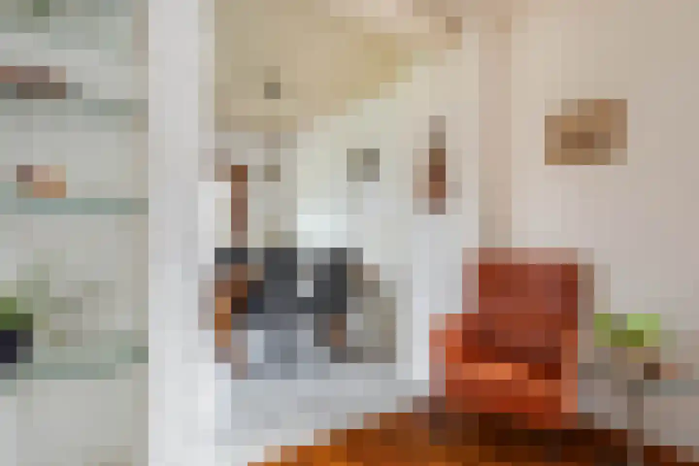 Burg Maenenstraat 7 Elsloo thumbnail 22