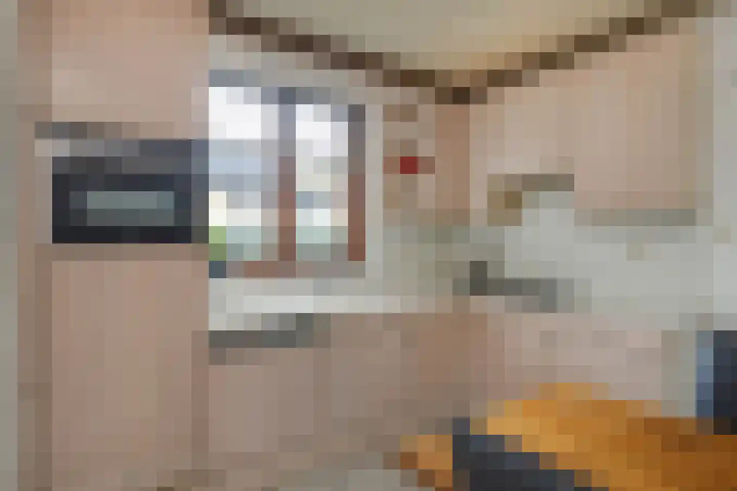 Burg Maenenstraat 7 Elsloo thumbnail 25
