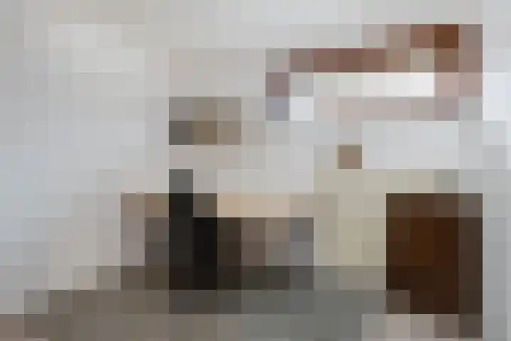 Burg Maenenstraat 7 Elsloo thumbnail 28