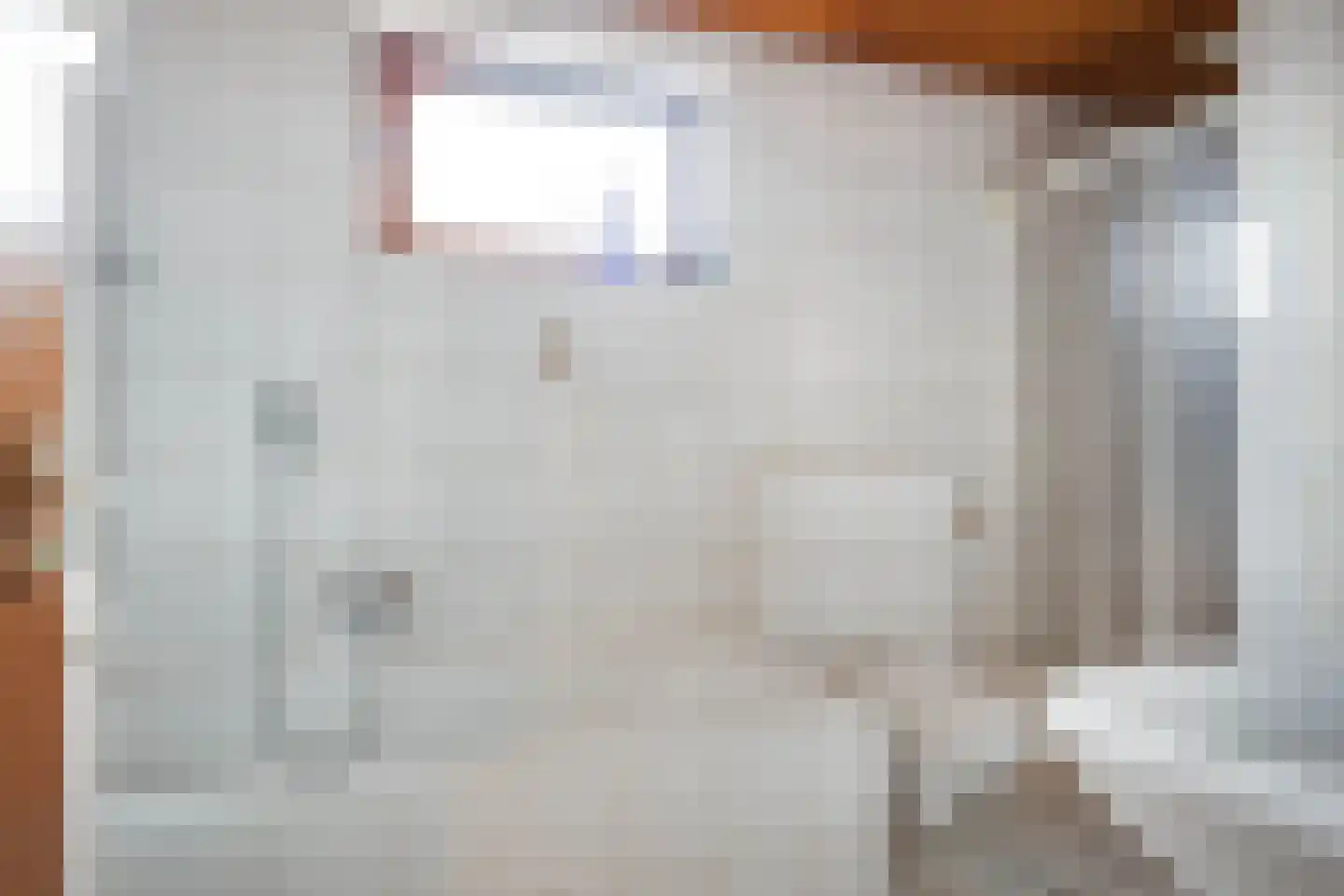 Burg Maenenstraat 7 Elsloo thumbnail 30