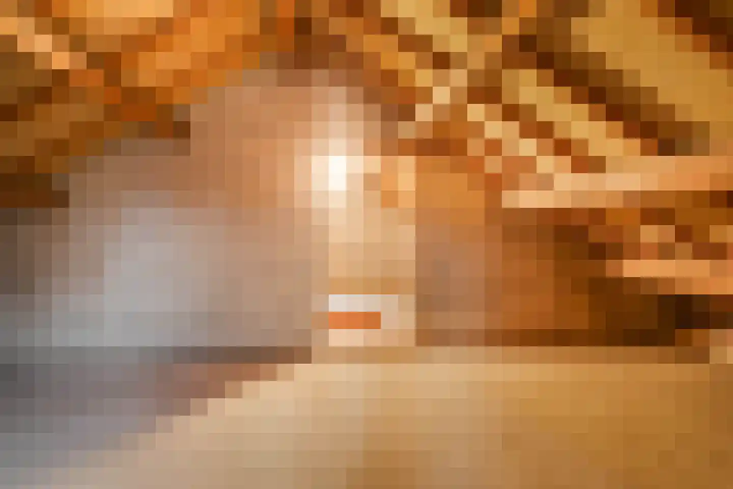 Burg Maenenstraat 7 Elsloo thumbnail 33