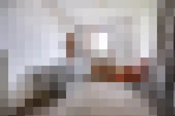 Burg Maenenstraat 7 Elsloo thumbnail 38