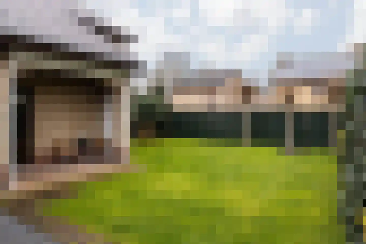 Burg Maenenstraat 7 Elsloo thumbnail 4