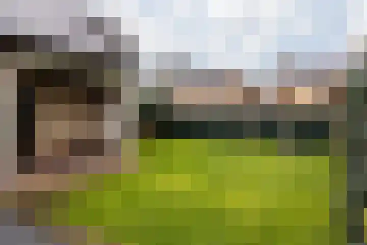 Burg Maenenstraat 7 Elsloo thumbnail 4