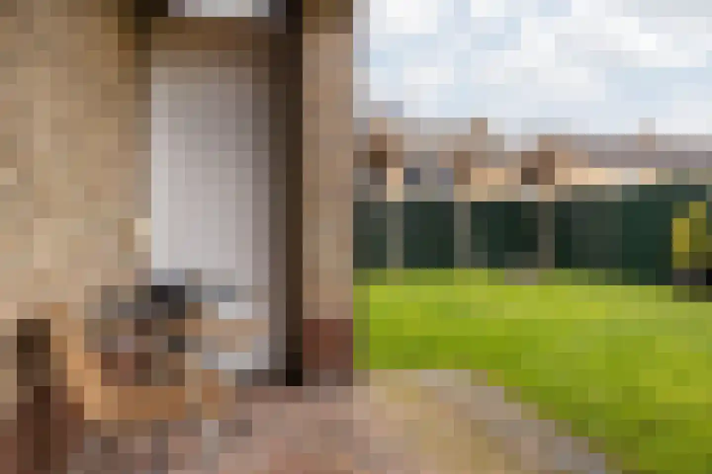 Burg Maenenstraat 7 Elsloo thumbnail 44