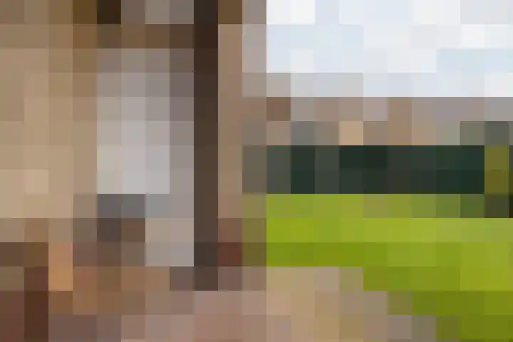 Burg Maenenstraat 7 Elsloo thumbnail 44