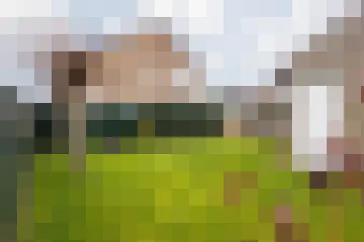 Burg Maenenstraat 7 Elsloo thumbnail 47