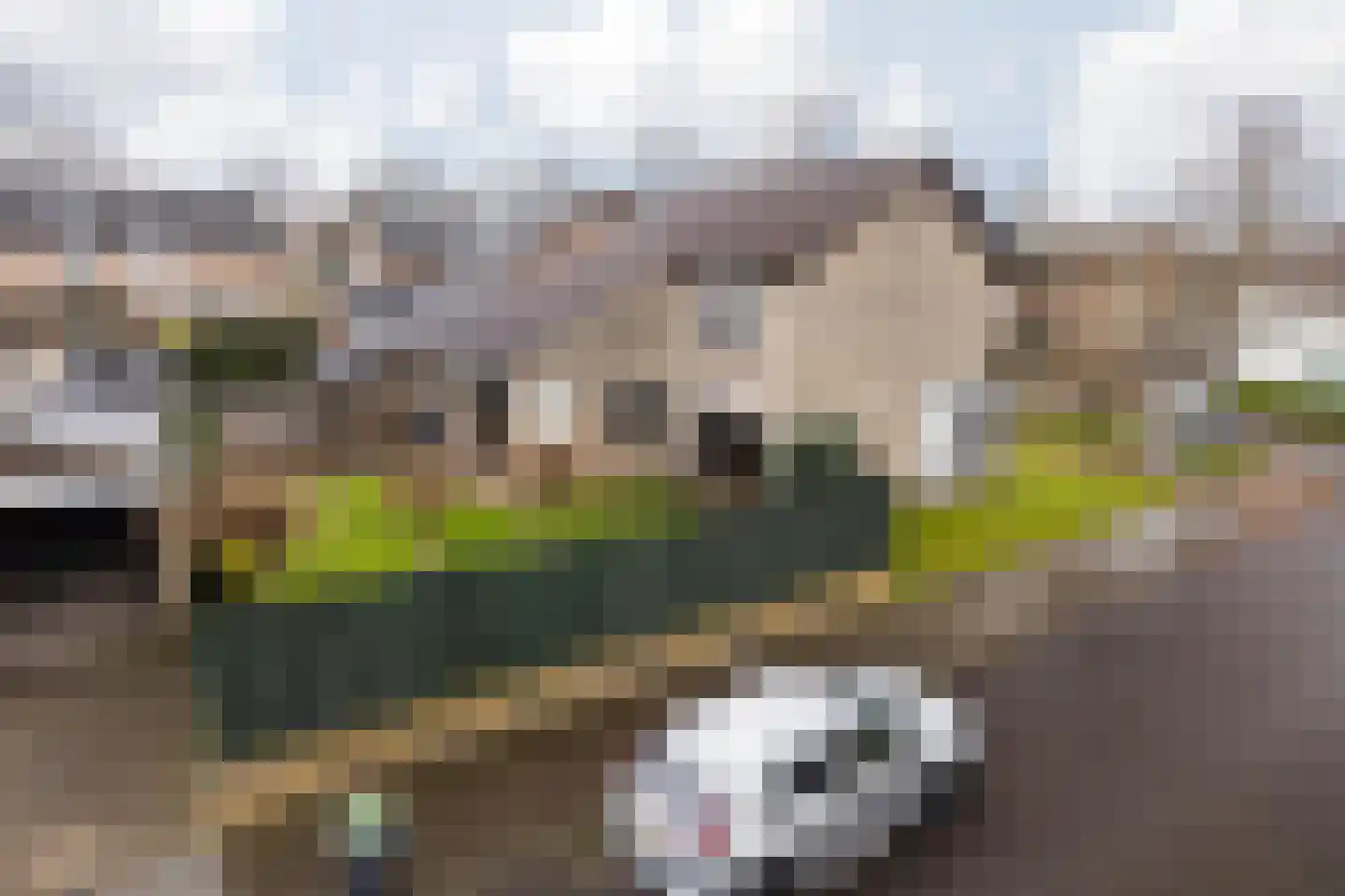 Burg Maenenstraat 7 Elsloo thumbnail 50