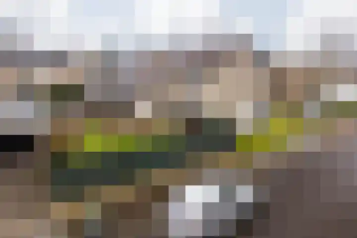Burg Maenenstraat 7 Elsloo thumbnail 50