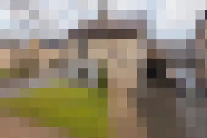 Burg Maenenstraat 7 Elsloo thumbnail 51