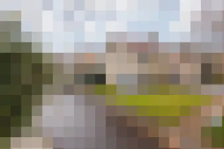 Burg Maenenstraat 7 Elsloo thumbnail 6