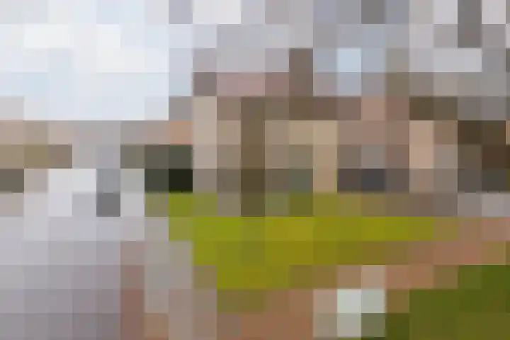 Burg Maenenstraat 7 Elsloo thumbnail 7