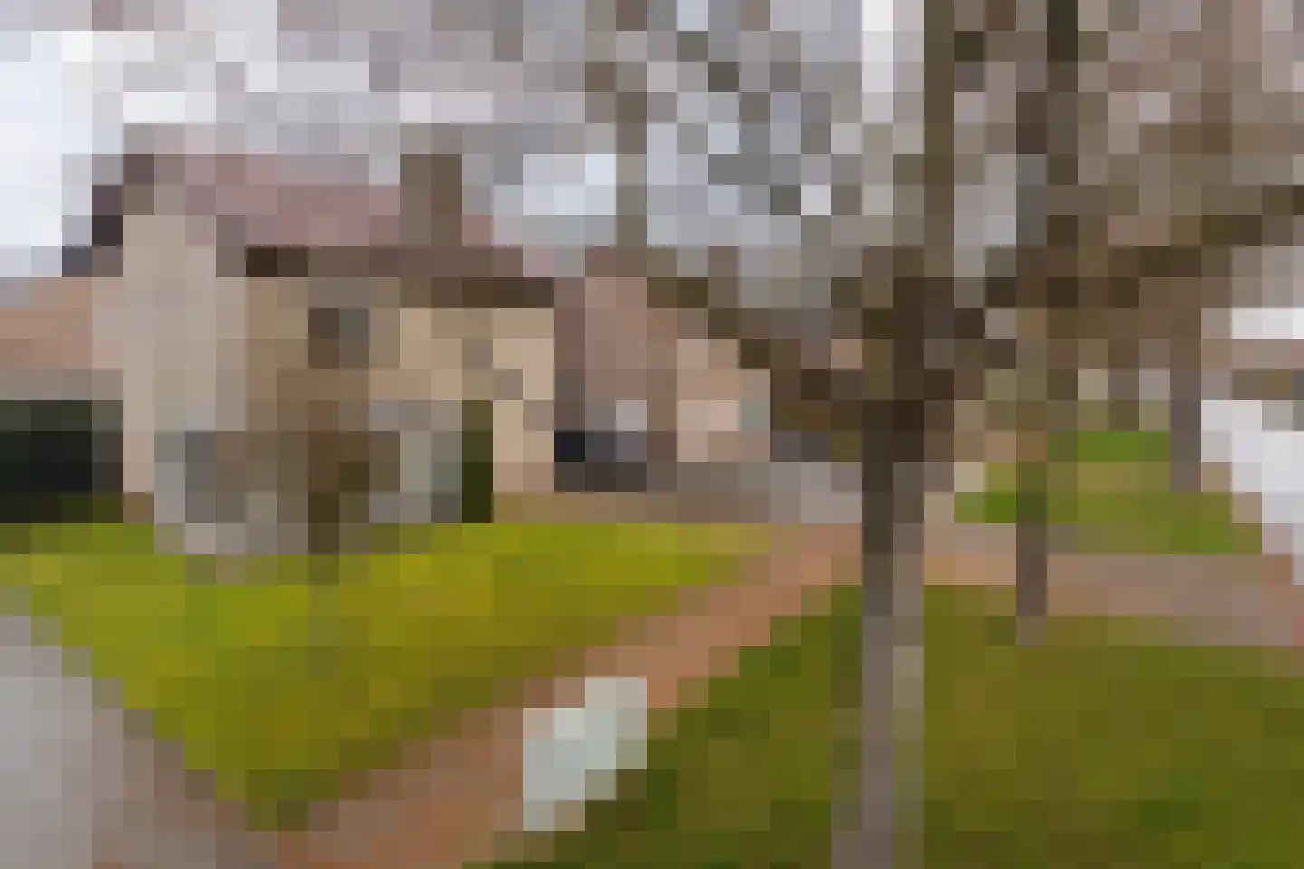 Burg Maenenstraat 7 Elsloo thumbnail 8