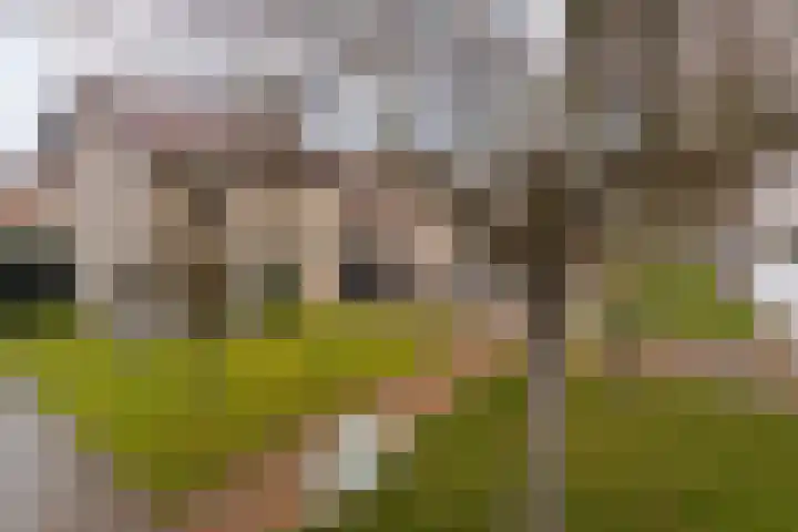 Burg Maenenstraat 7 Elsloo thumbnail 8