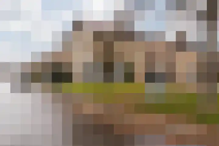 Burg Maenenstraat 7 Elsloo thumbnail 9