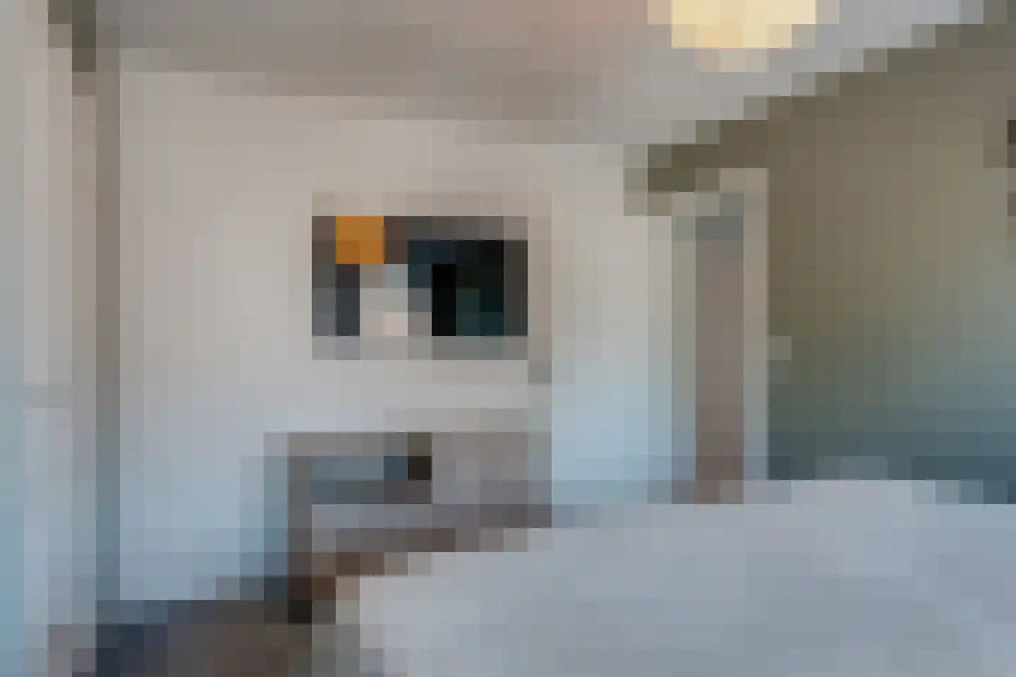 Burg Malcorpslaan 57 Hasselt thumbnail 41