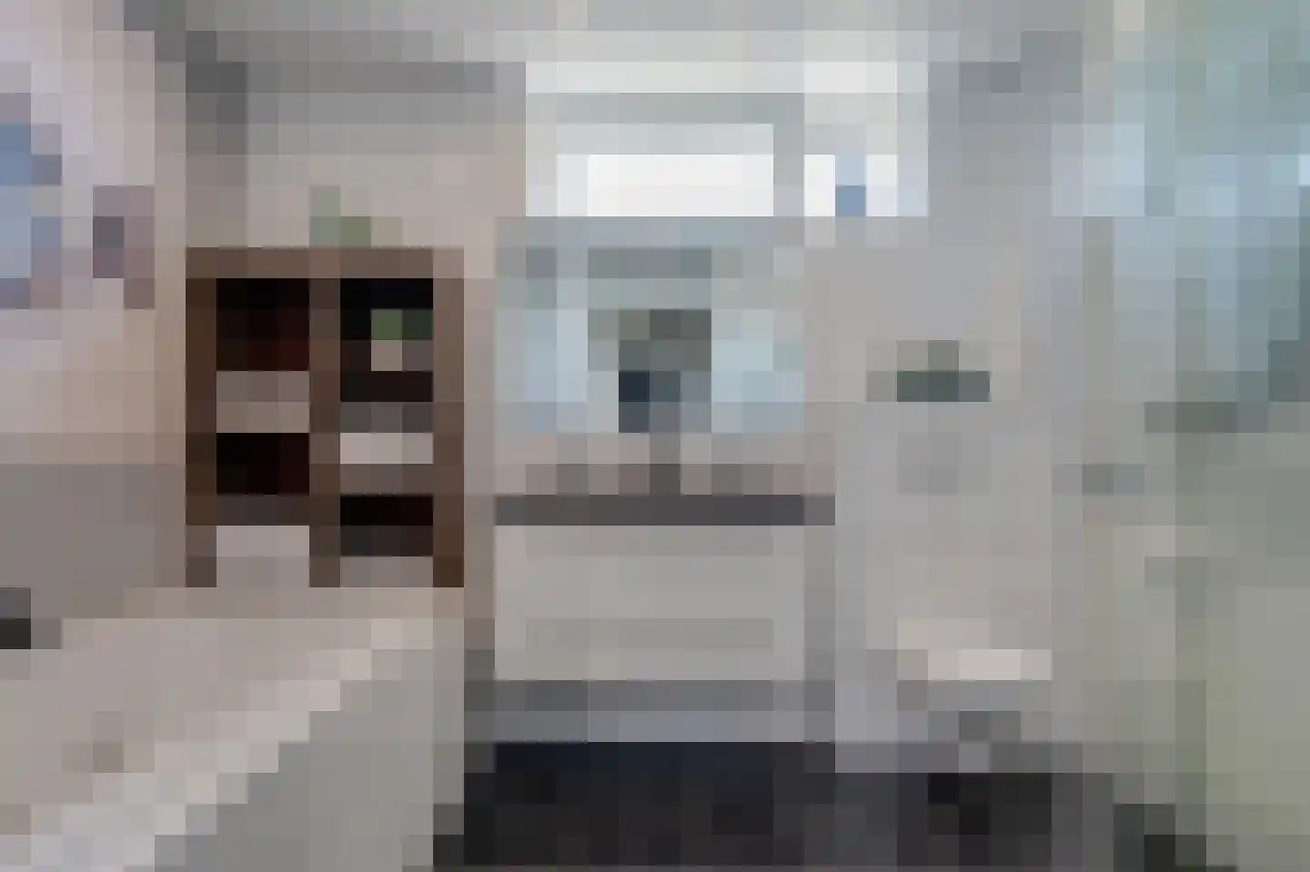 Burg Malcorpslaan 57 Hasselt thumbnail 49