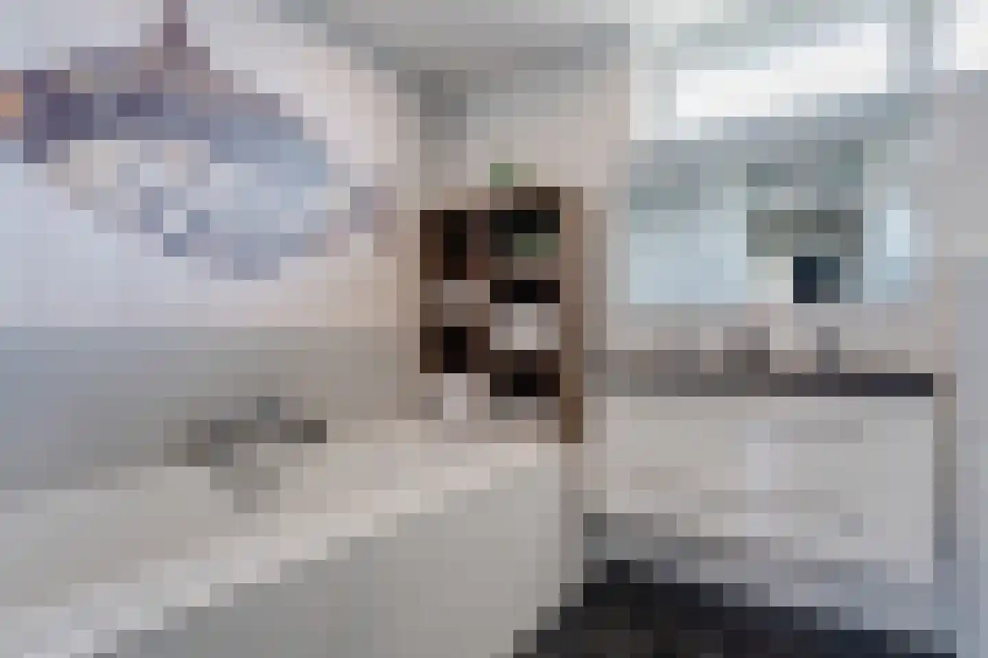 Burg Malcorpslaan 57 Hasselt thumbnail 50