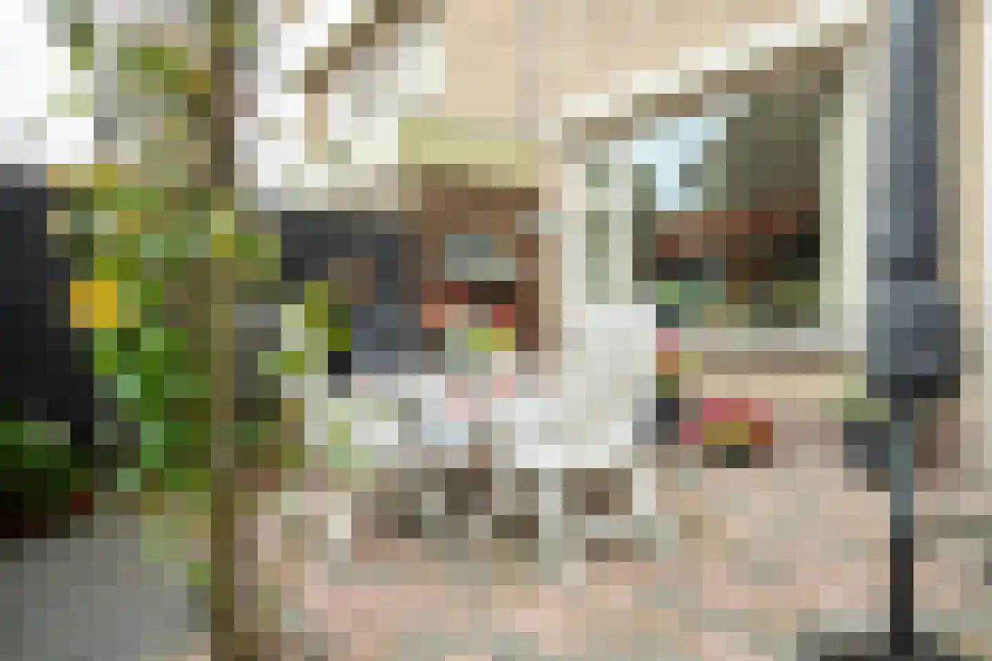 Burg Malcorpslaan 79 Hasselt thumbnail 26