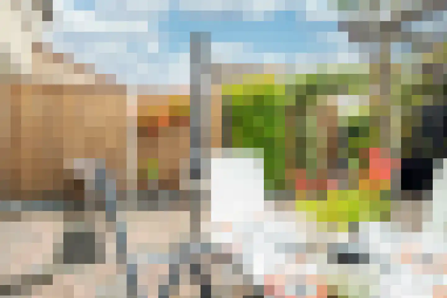 Burg Malcorpslaan 79 Hasselt thumbnail 27