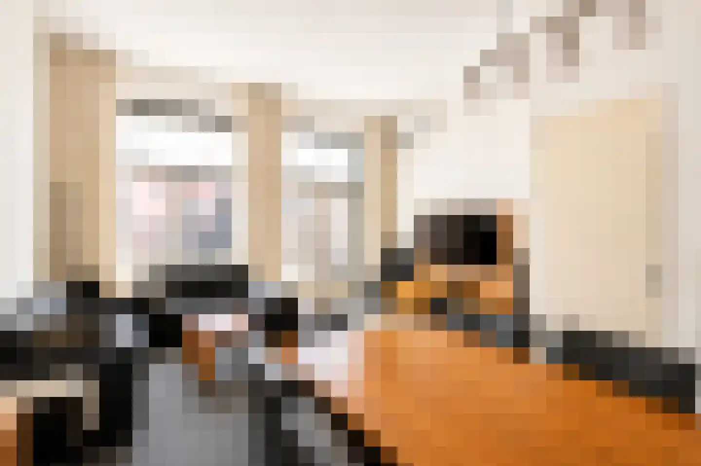 Burg. Martinstraat 1 Hoensbroek thumbnail 8