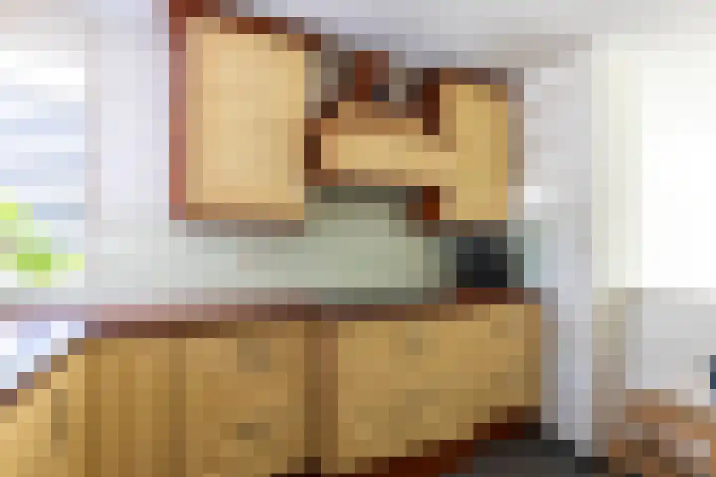 Burg. Martinstraat 1 Hoensbroek thumbnail 9