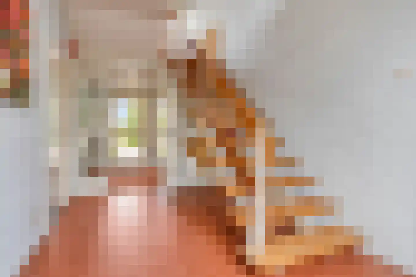Burg. Mijnlieffstraat 47 Anna Paulowna thumbnail 14