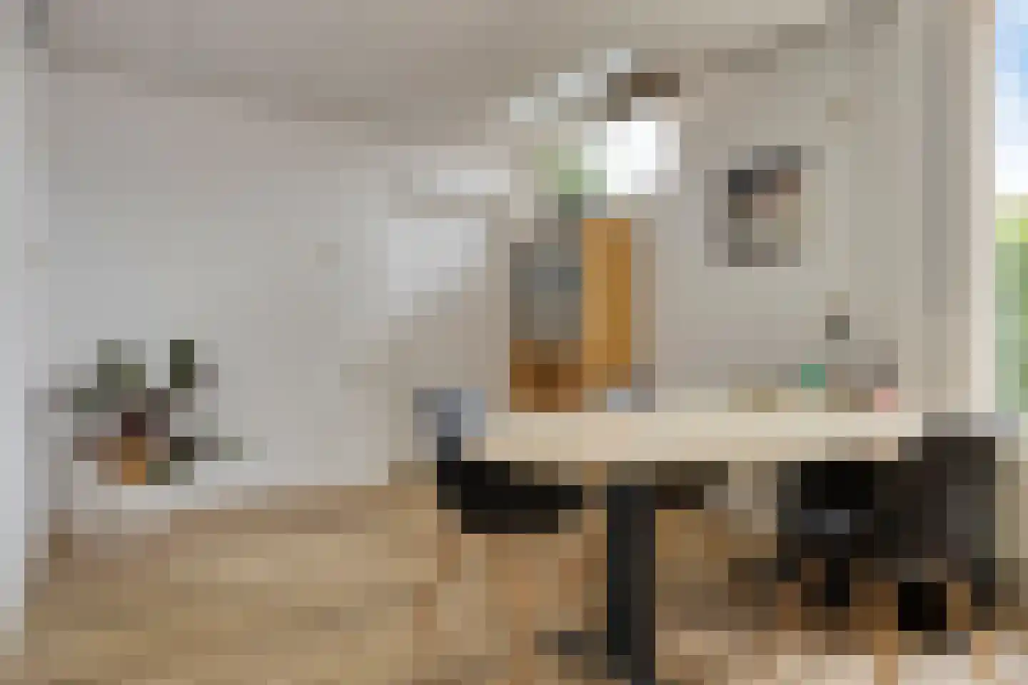 Burg. Mijnlieffstraat 47 Anna Paulowna thumbnail 18