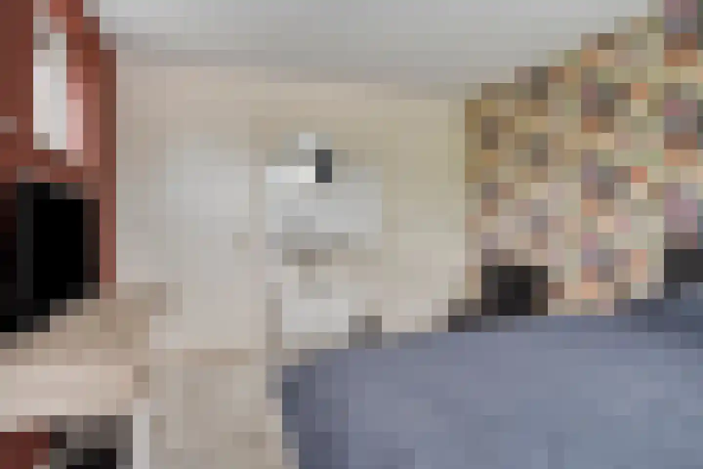 Burg. Mijnlieffstraat 47 Anna Paulowna thumbnail 23