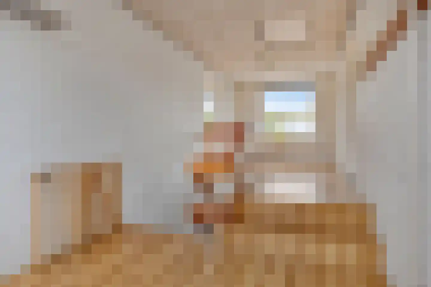 Burg. Mijnlieffstraat 47 Anna Paulowna thumbnail 26