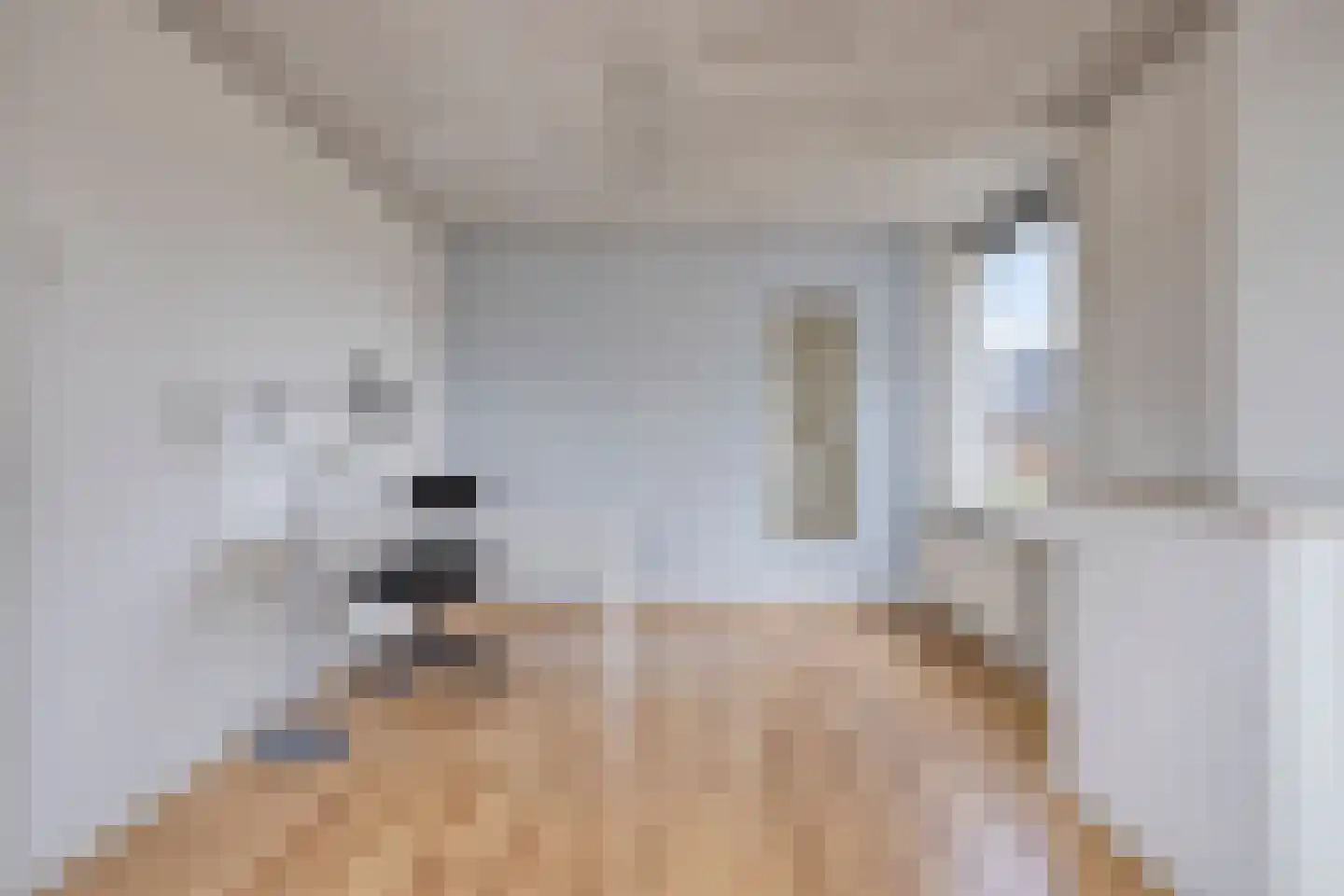 Burg. Mijnlieffstraat 47 Anna Paulowna thumbnail 34