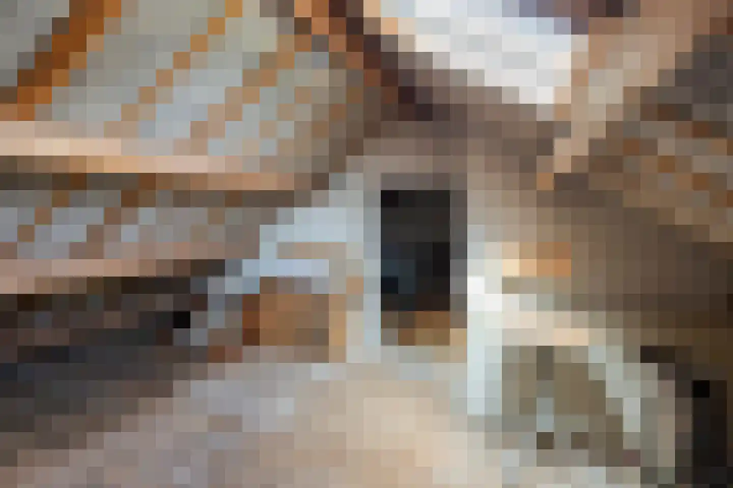 Burg. Mijnlieffstraat 65 Anna Paulowna thumbnail 16