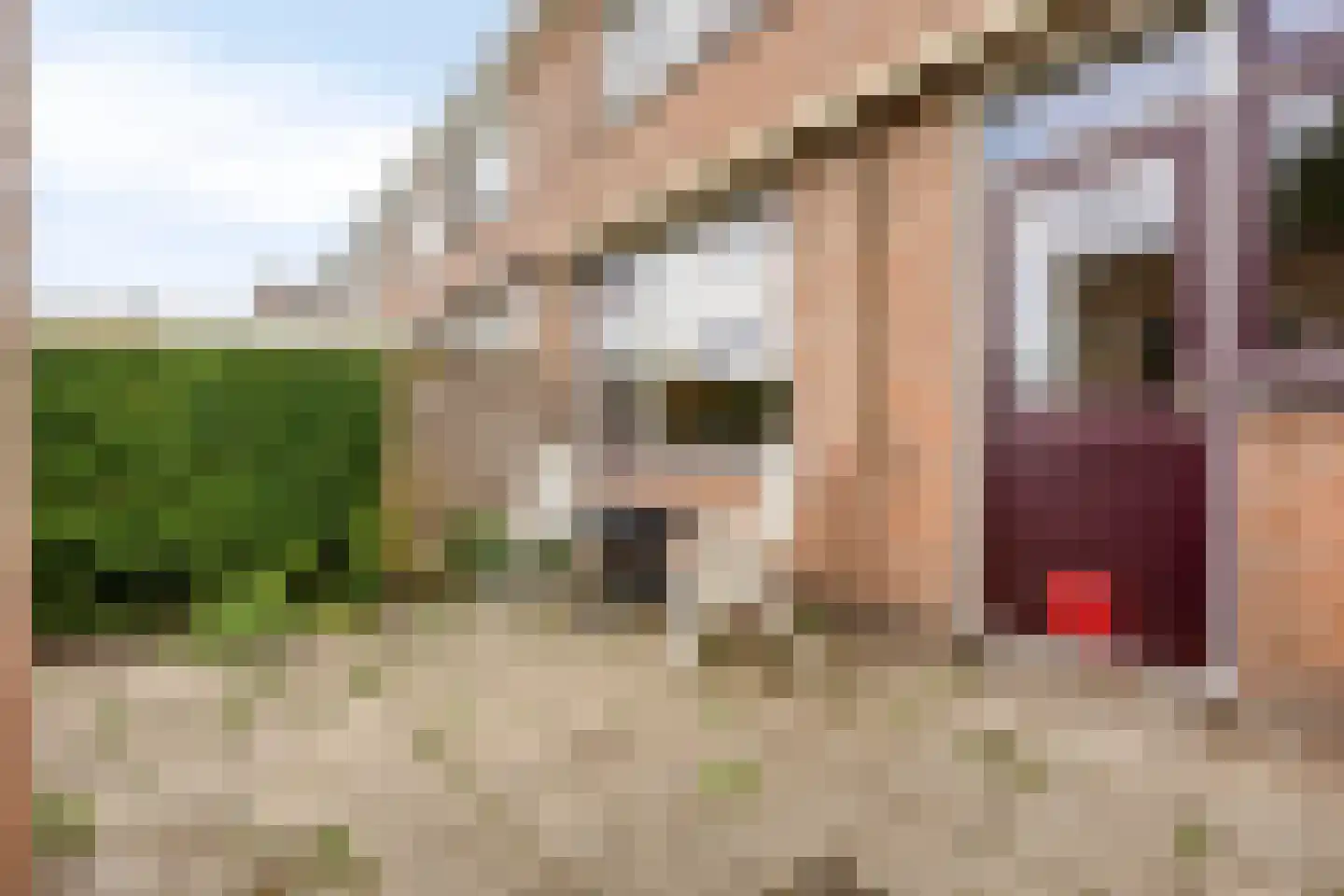 Burg. Mijnlieffstraat 65 Anna Paulowna thumbnail 18