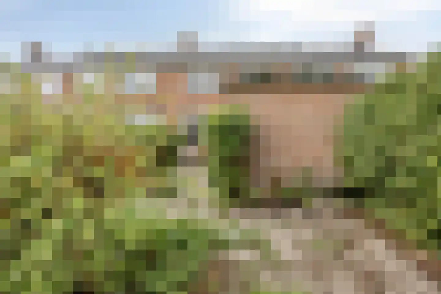 Burg. Mijnlieffstraat 65 Anna Paulowna thumbnail 19