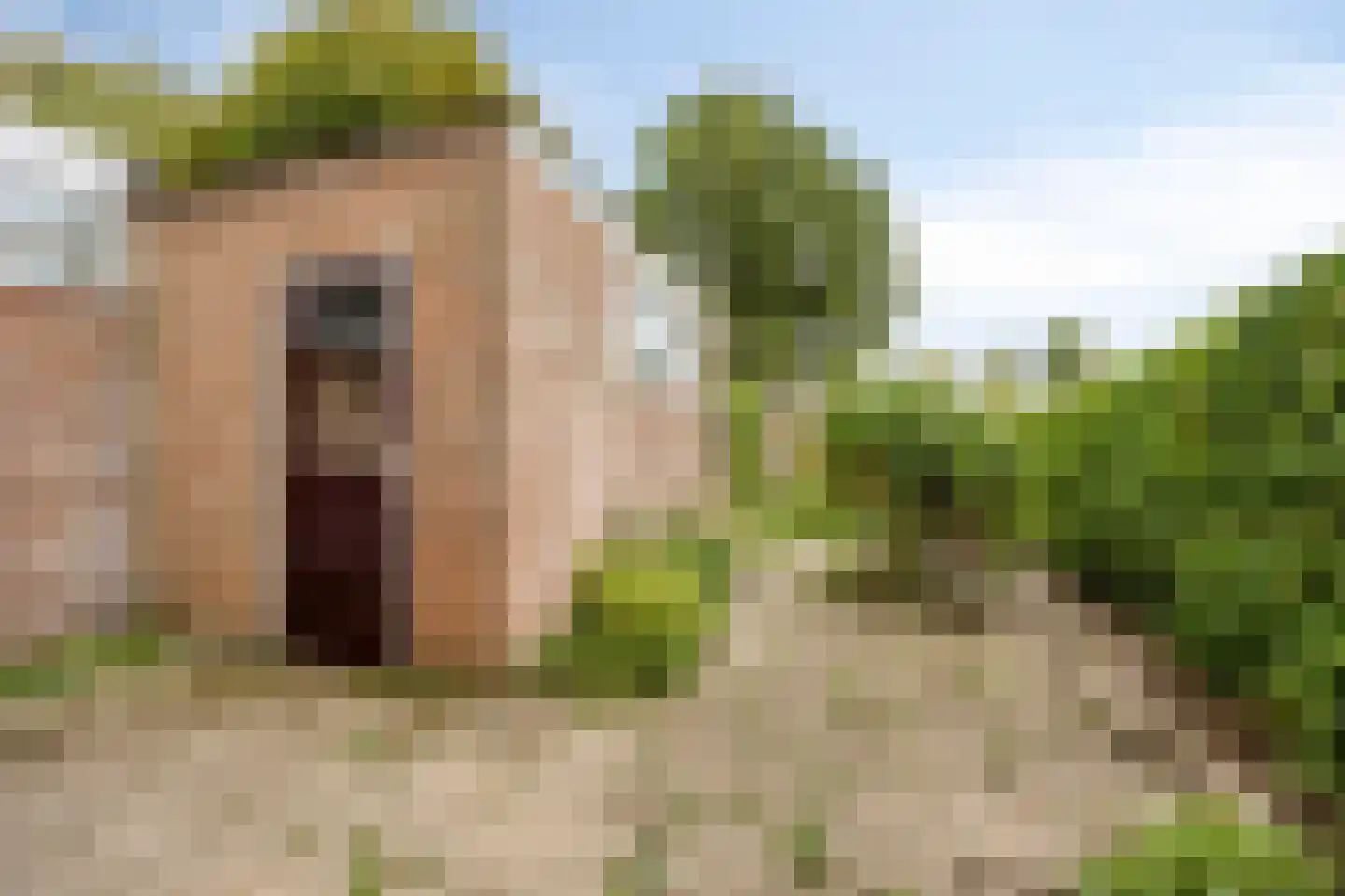 Burg. Mijnlieffstraat 65 Anna Paulowna thumbnail 20