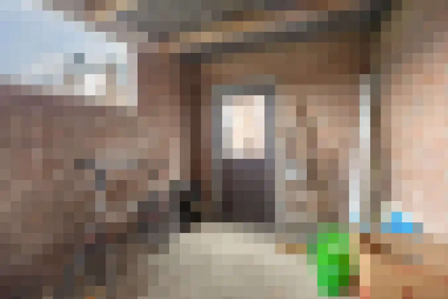 Burg. Mijnlieffstraat 65 Anna Paulowna thumbnail 22