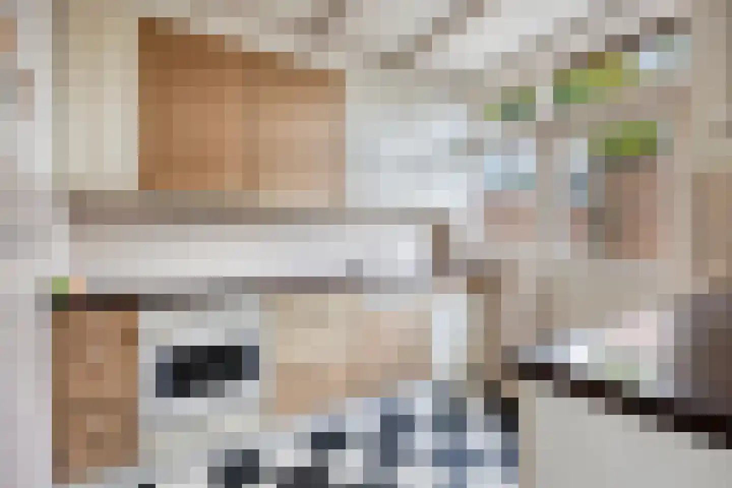 Burg. Mijnlieffstraat 65 Anna Paulowna thumbnail 6