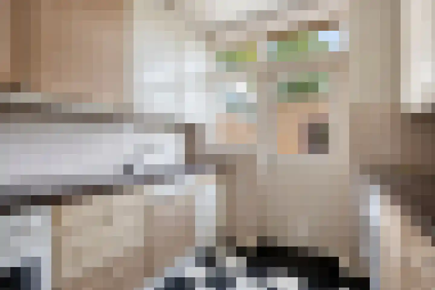 Burg. Mijnlieffstraat 65 Anna Paulowna thumbnail 8