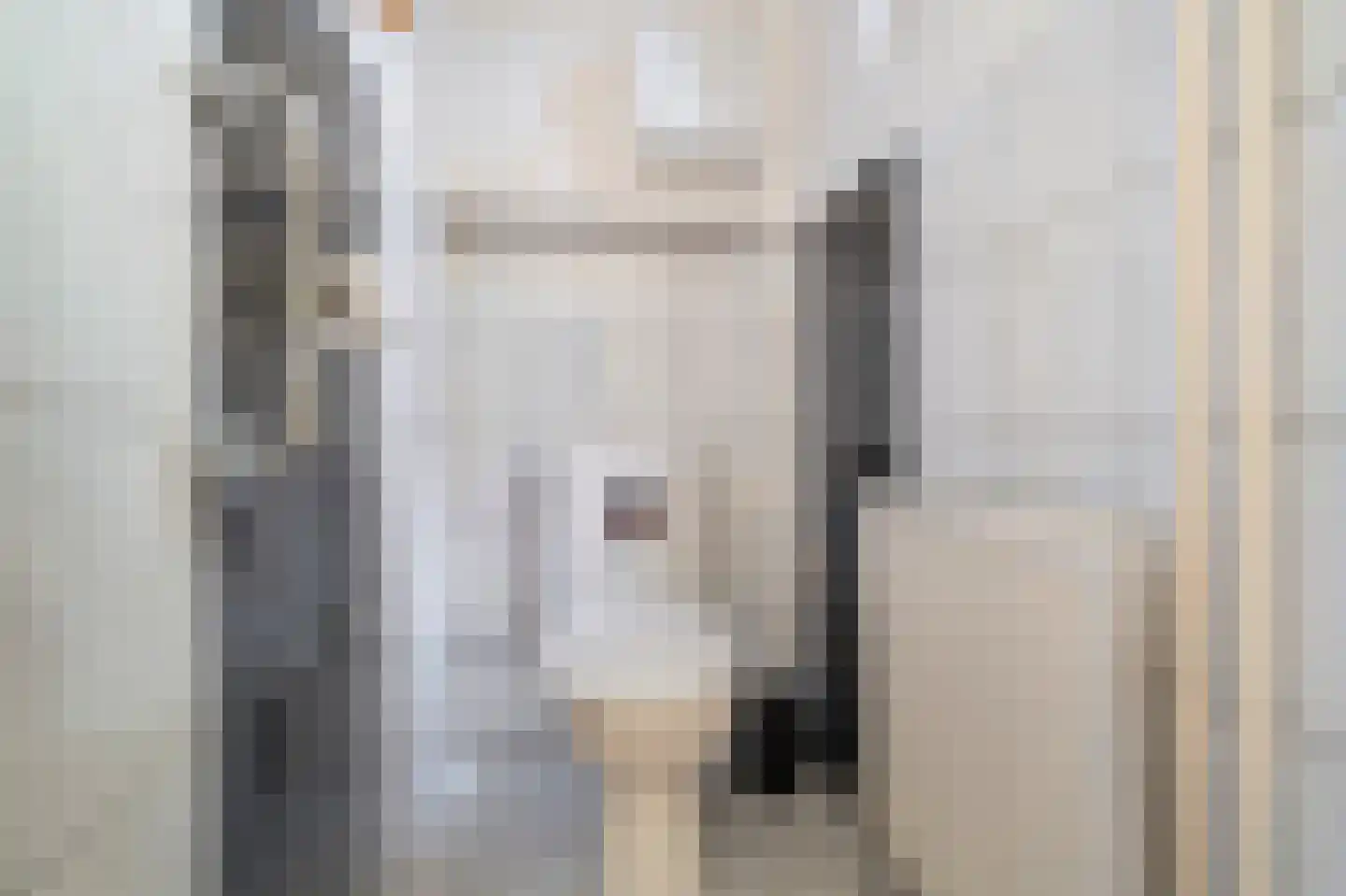 Burg. Mijnlieffstraat 8 Anna Paulowna thumbnail 10