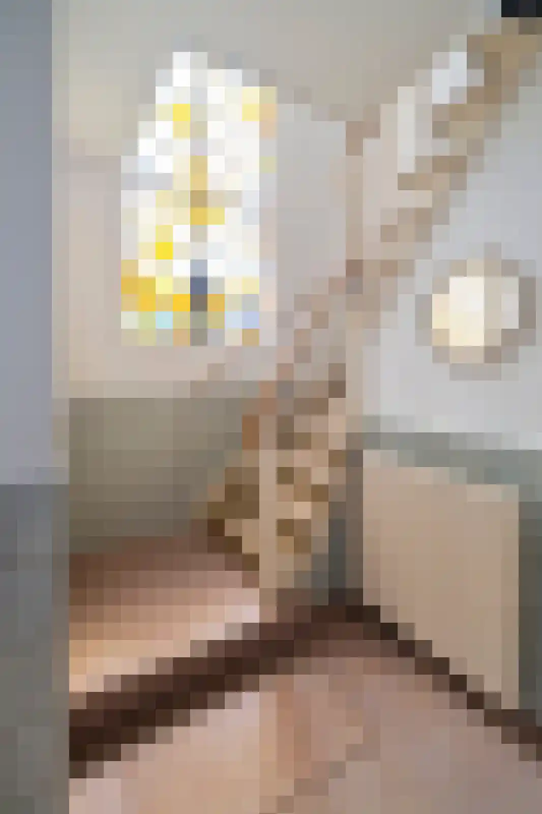 Burg. Mijnlieffstraat 8 Anna Paulowna thumbnail 11