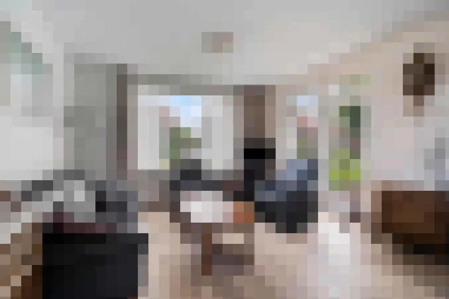 Burg. Mijnlieffstraat 8 Anna Paulowna thumbnail 13
