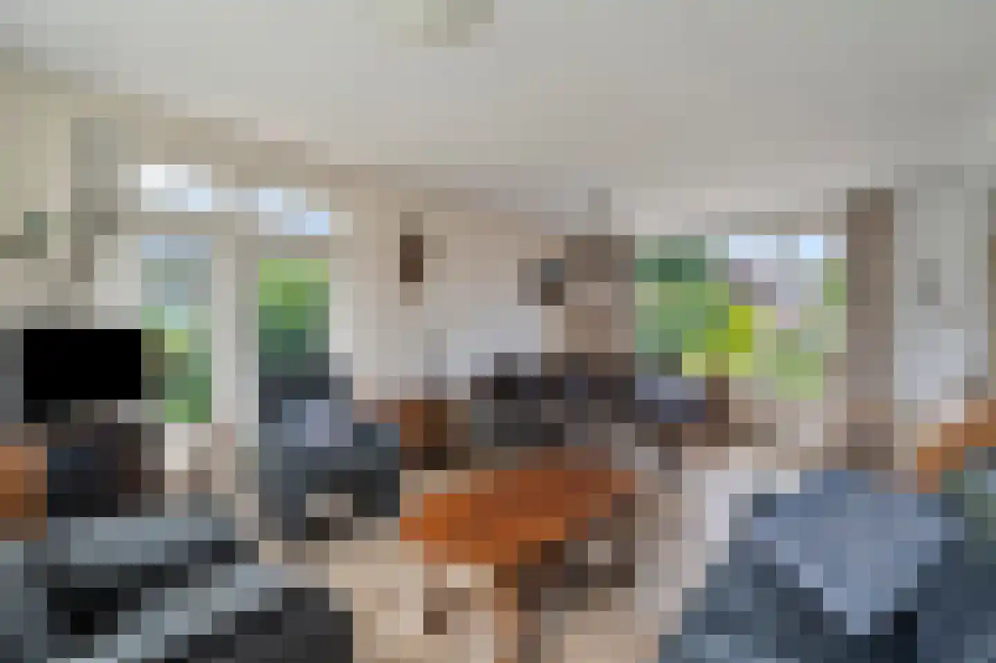 Burg. Mijnlieffstraat 8 Anna Paulowna thumbnail 15