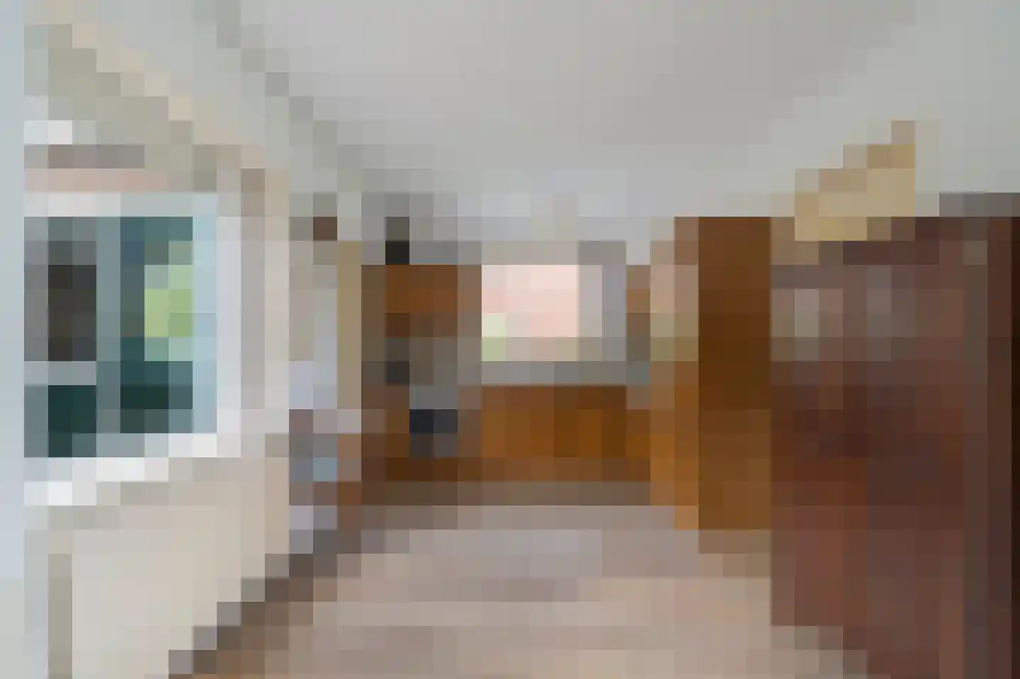 Burg. Mijnlieffstraat 8 Anna Paulowna thumbnail 19